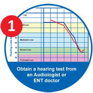 EarCentric PRO200 Hearing Aid Custom Programm Step 1: Audiogram EarCentric PRO200 Hearing Aid Custom Programm Step 1: Audiogram